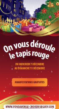 On vous déroule le tapis rouge. Du 7 au 11 décembre 2011 à Bordeaux. Gironde. 
